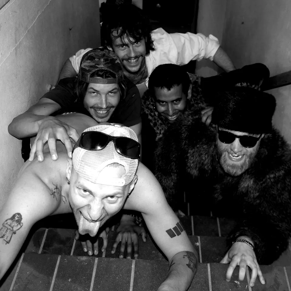 Wolfhead + support