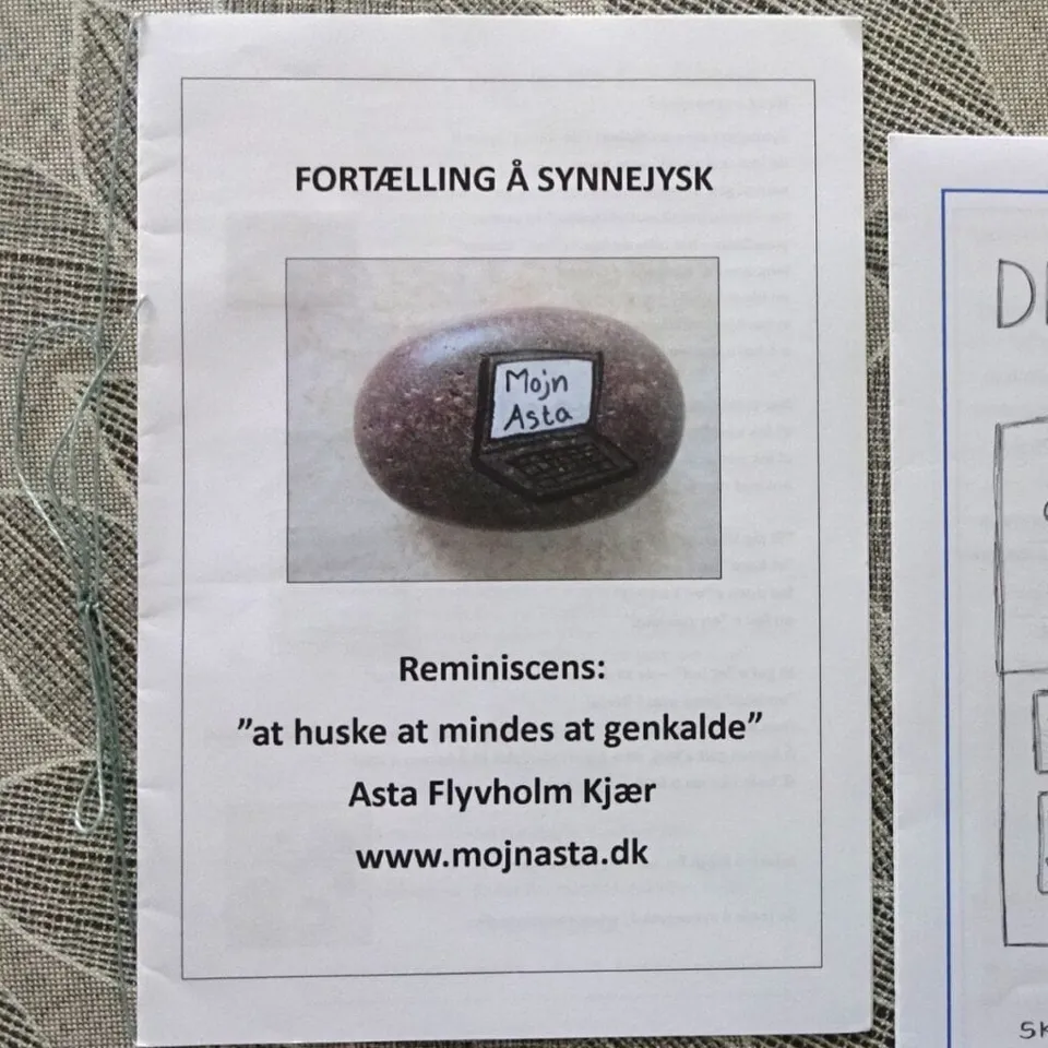 What South Jutlandic Can Be Used For