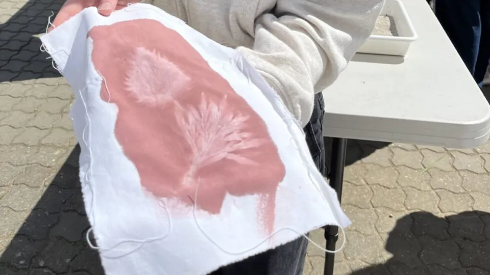 Nature Dye Foraging Walk