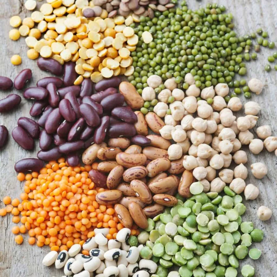 Legumes: From Politics to Your Kitchen